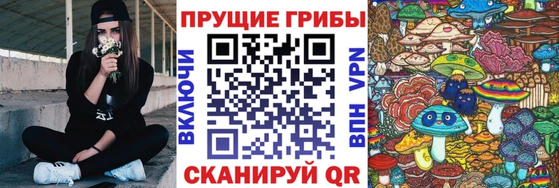 Галлюциногенные грибы Cubensis  блэк спрут онион  Советский 